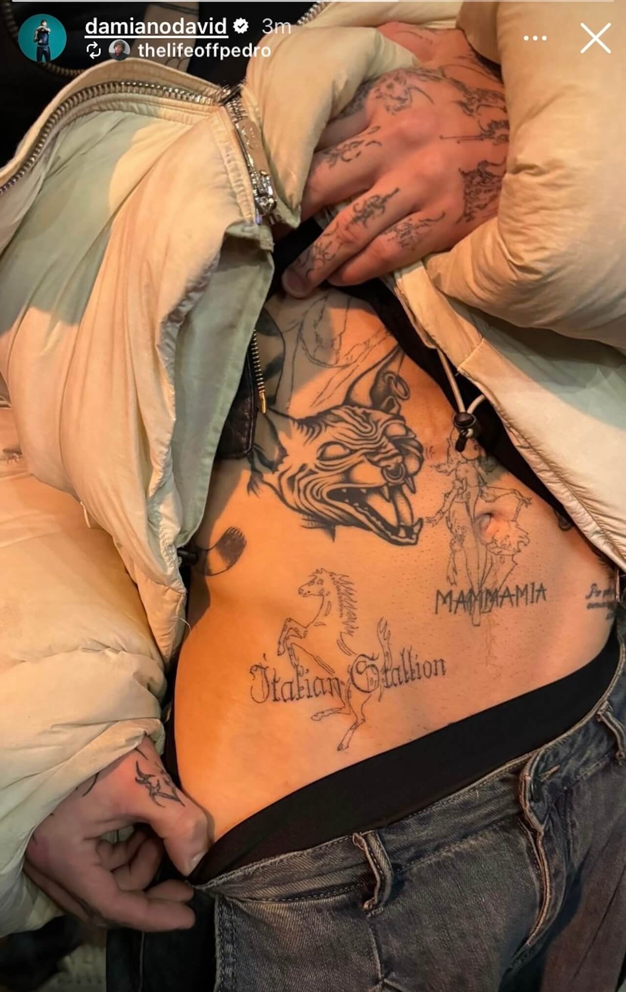 Damiano dei Maneskin