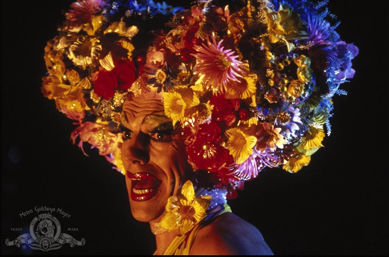 I film LGBTQIA+ della settimana 22/28 gennaio tra tv generalista e streaming - Priscilla - Gay.it