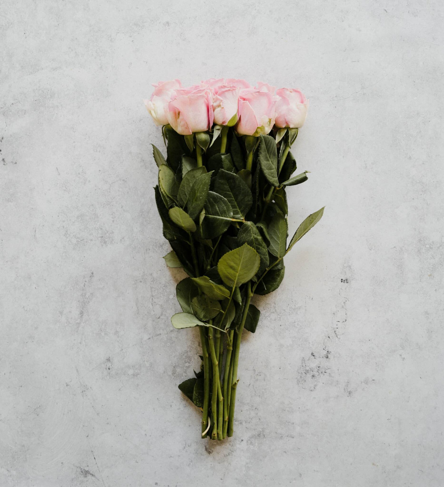 San Valentino, "lascia che ci pensi io" è il "ti amo" scritto coi petali di rosa - ROSE 1 - Gay.it