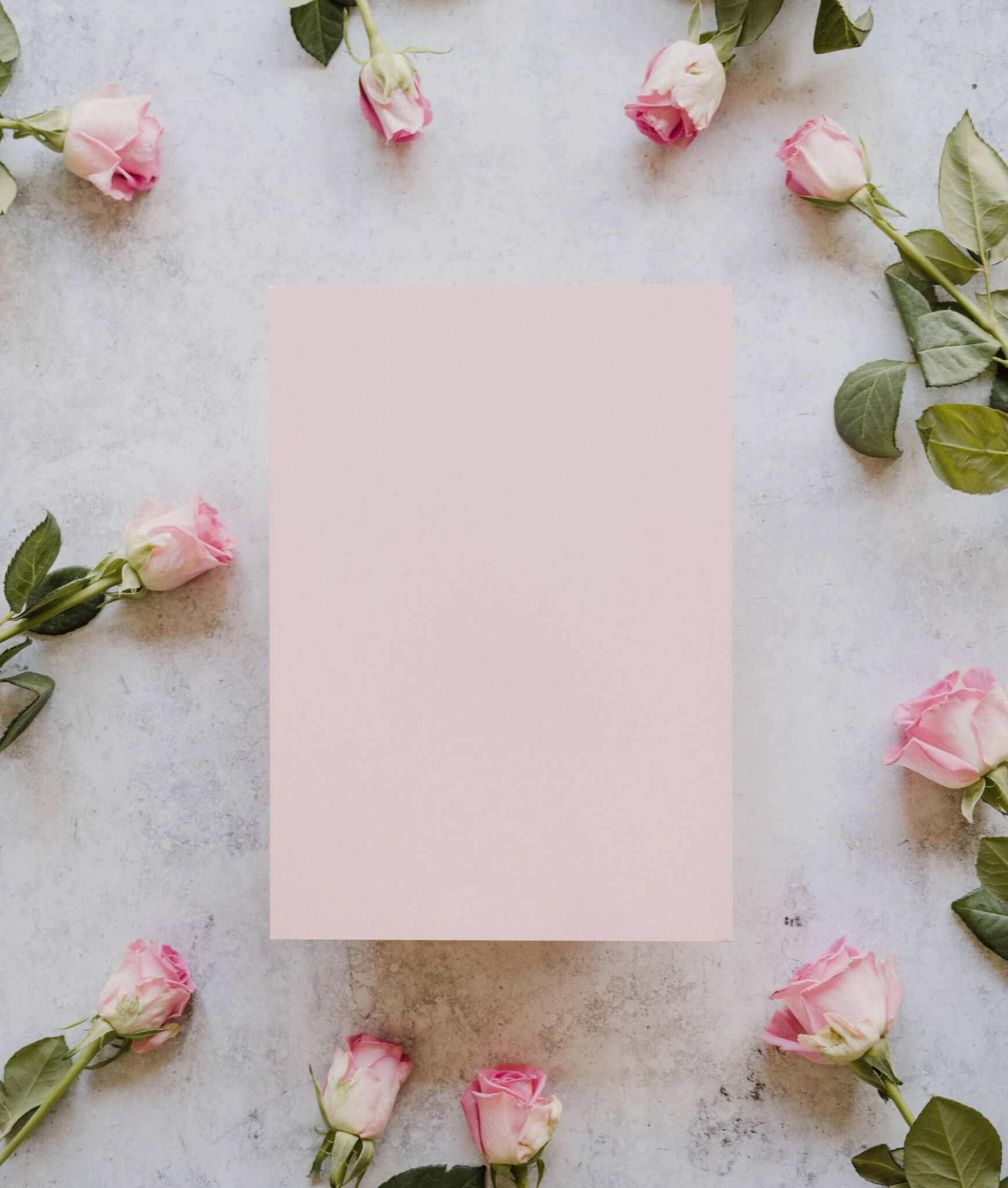 San Valentino, "lascia che ci pensi io" è il "ti amo" scritto coi petali di rosa - ROSE 2 - Gay.it