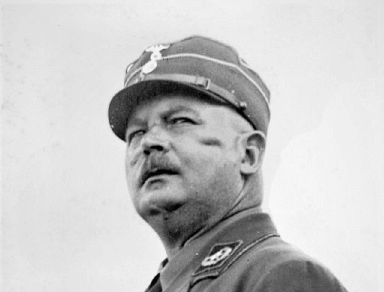 Ernst Rohm nazismo gay