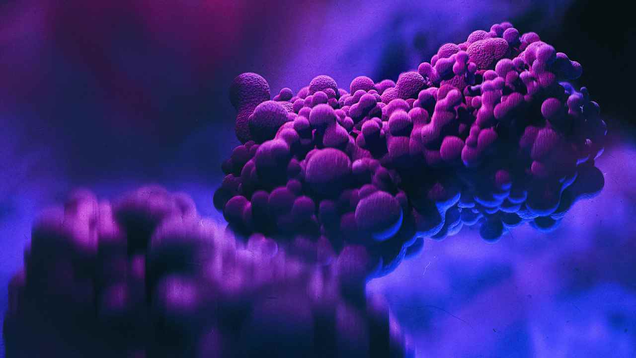 Mpox, la Regione Piemonte punta il dito contro la comunità LGBTQIA+, ma è un pericoloso errore