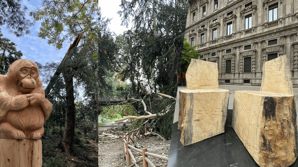 Quando abbiamo consegnato il pianeta ai nostri abusi? Al Fuori Salone il bosco strambo di Second Life