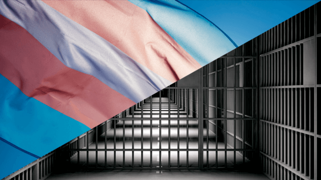 Teansgender Carcere Europa