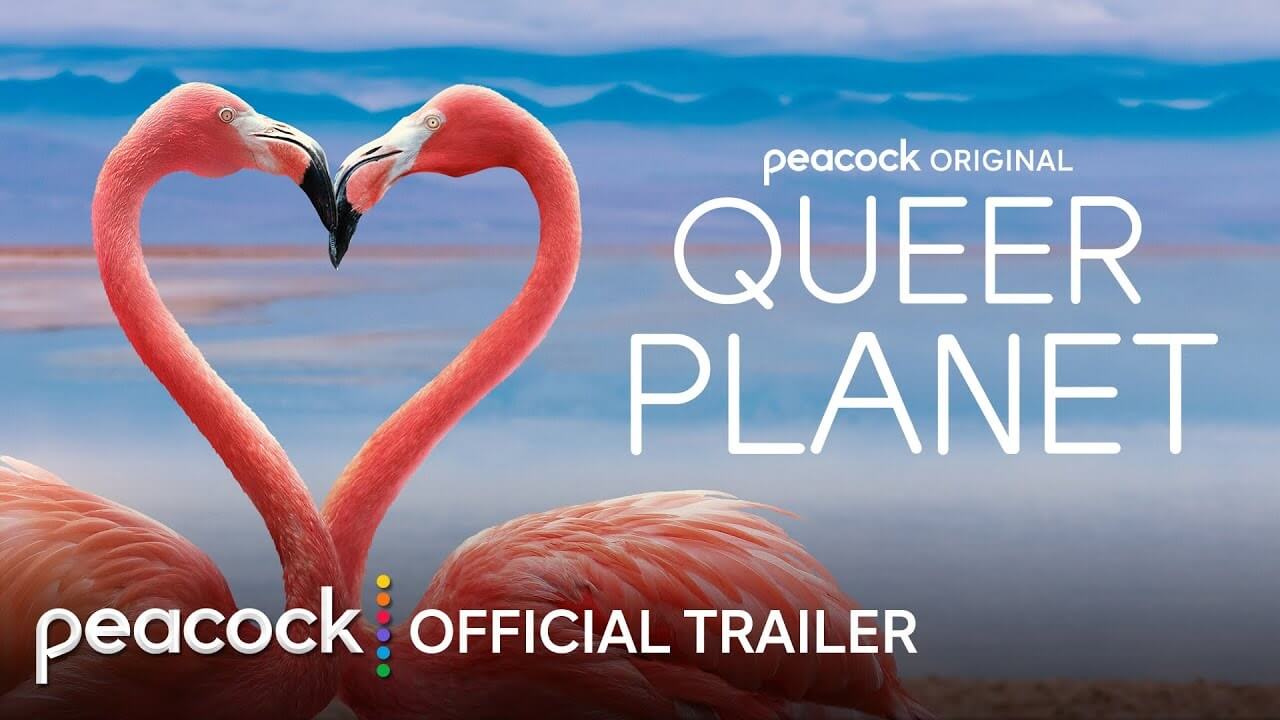 Queer Planet, il trailer del doc sugli animali LGBTI+ scatena i conservatori d’America (VIDEO)