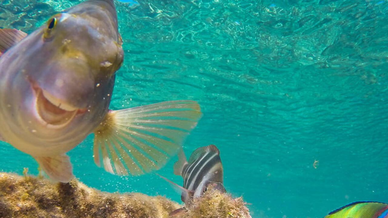 gran-canaria (4)