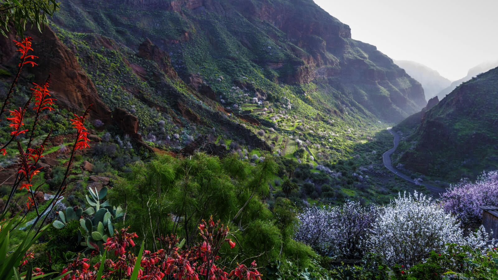 Le gemme nascoste di Gran Canaria: guida a 10 suggestivi borghi da visitare quest'estate - agumes - Gay.it