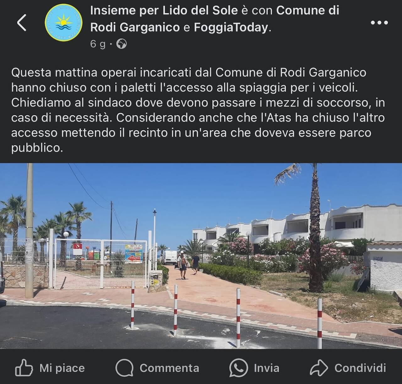 Carmine d'Anelli, insulti omotransfobici e sessisti dal sindaco di Rodi Garganico: "Mezza femmina" - Carmine dAnelli insulti omotransfobici e sessisti - Gay.it