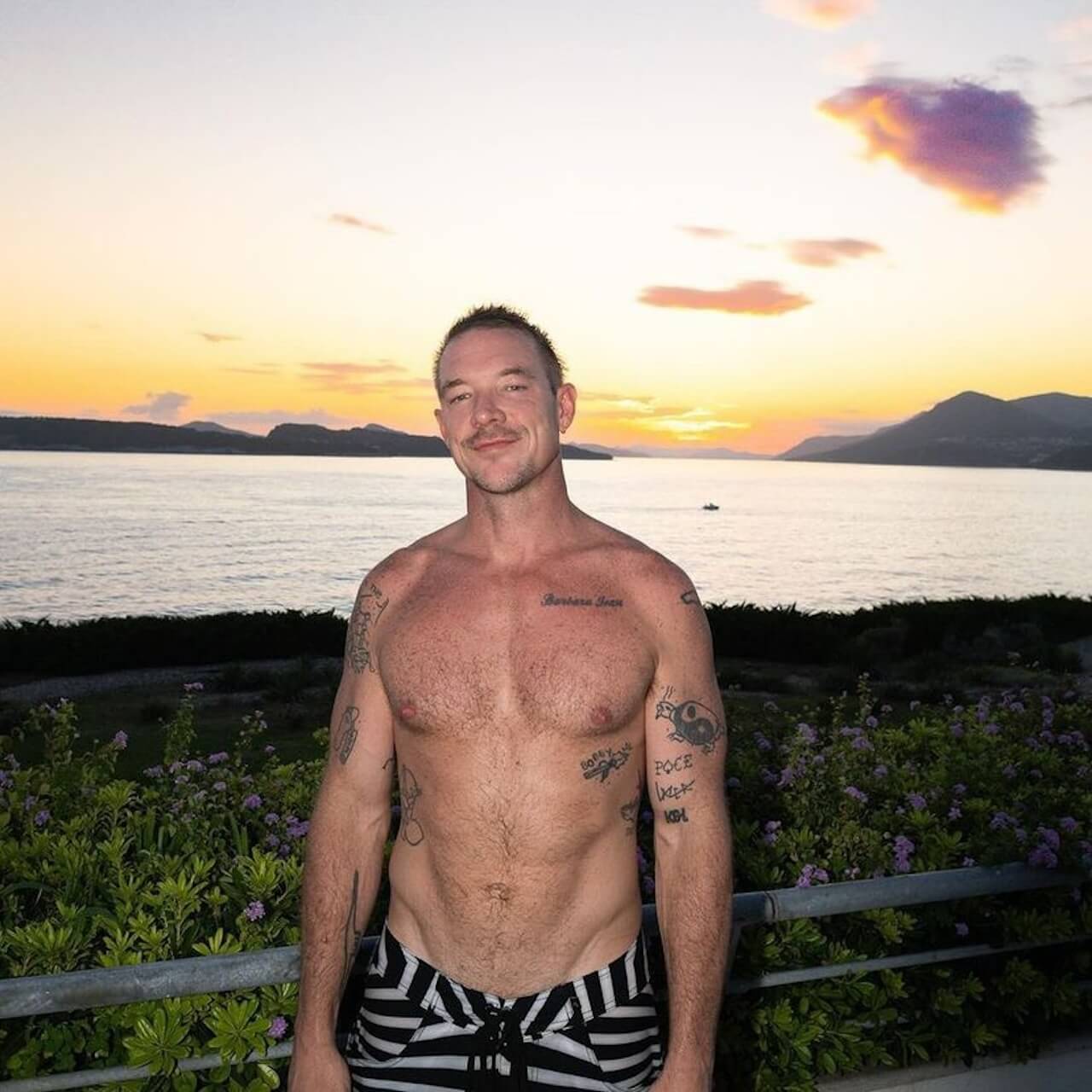 Diplo
