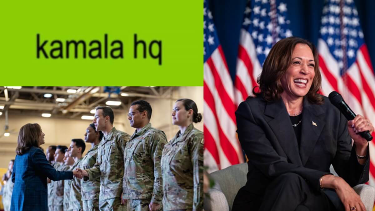 Perché Kamala Harris è una brat, cosa significa e quali star l’hanno già acclamata