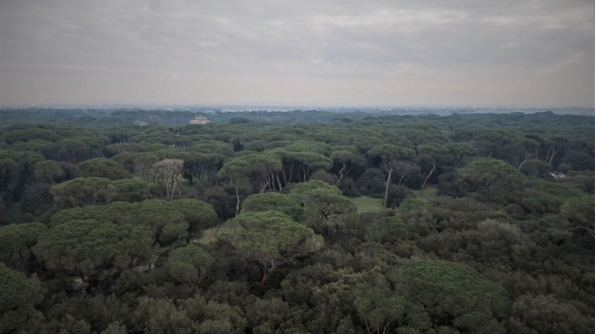 Castel Porziano, il corpo di una donna trans rinvenuto in avanzato stato di decomposizione: al via le indagini