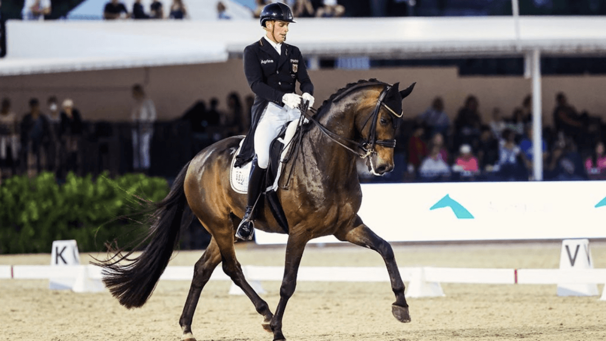 Il dressage Olimpico è queer, un podio di cavalieri dichiaratamente gay a Parigi 2024