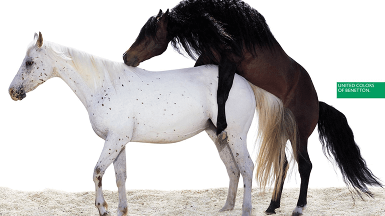 Oliviero Toscani- Cavalli in amore - Benetton
