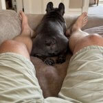 Russell Tovey - Thumbnail