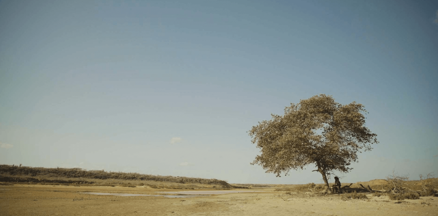 Alma del desierto, a Venezia 81 il doc su un'un’anziana donna Wayúu transgender - ALMA DEL DESIERTO 2 - Gay.it