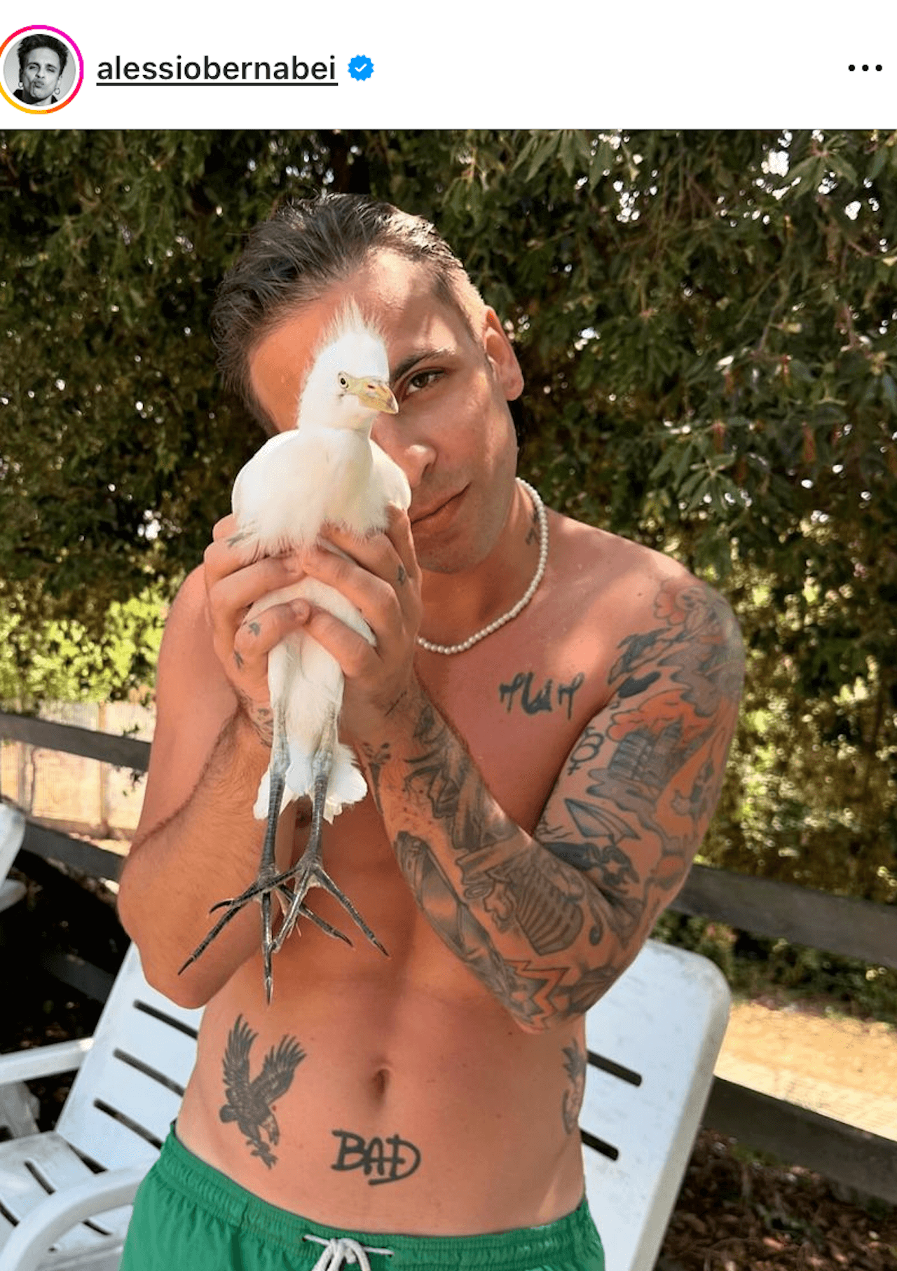 Alessio Bernabei