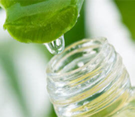 Integratori-alimentari-a-base-di-aloe-vera