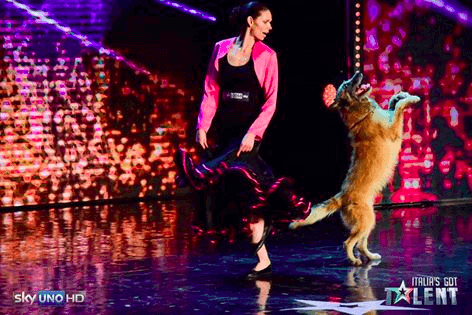 italia's got talent
