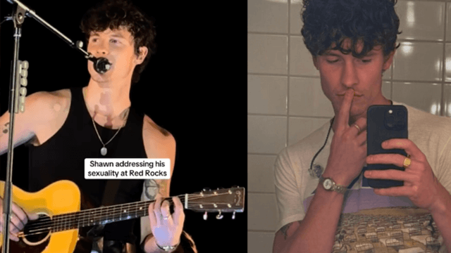 Shawn Mendes Gay.it