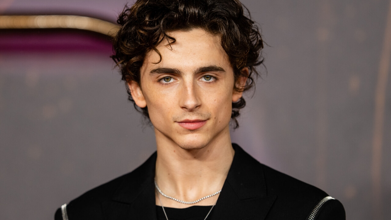 Perché tutti ce l'hanno con Timothée Chalamet: quella frase (infelice) sull'opera e il balletto, i teatri del mondo gli rispondono - VIDEO - Timothee Chalamet - Gay.it
