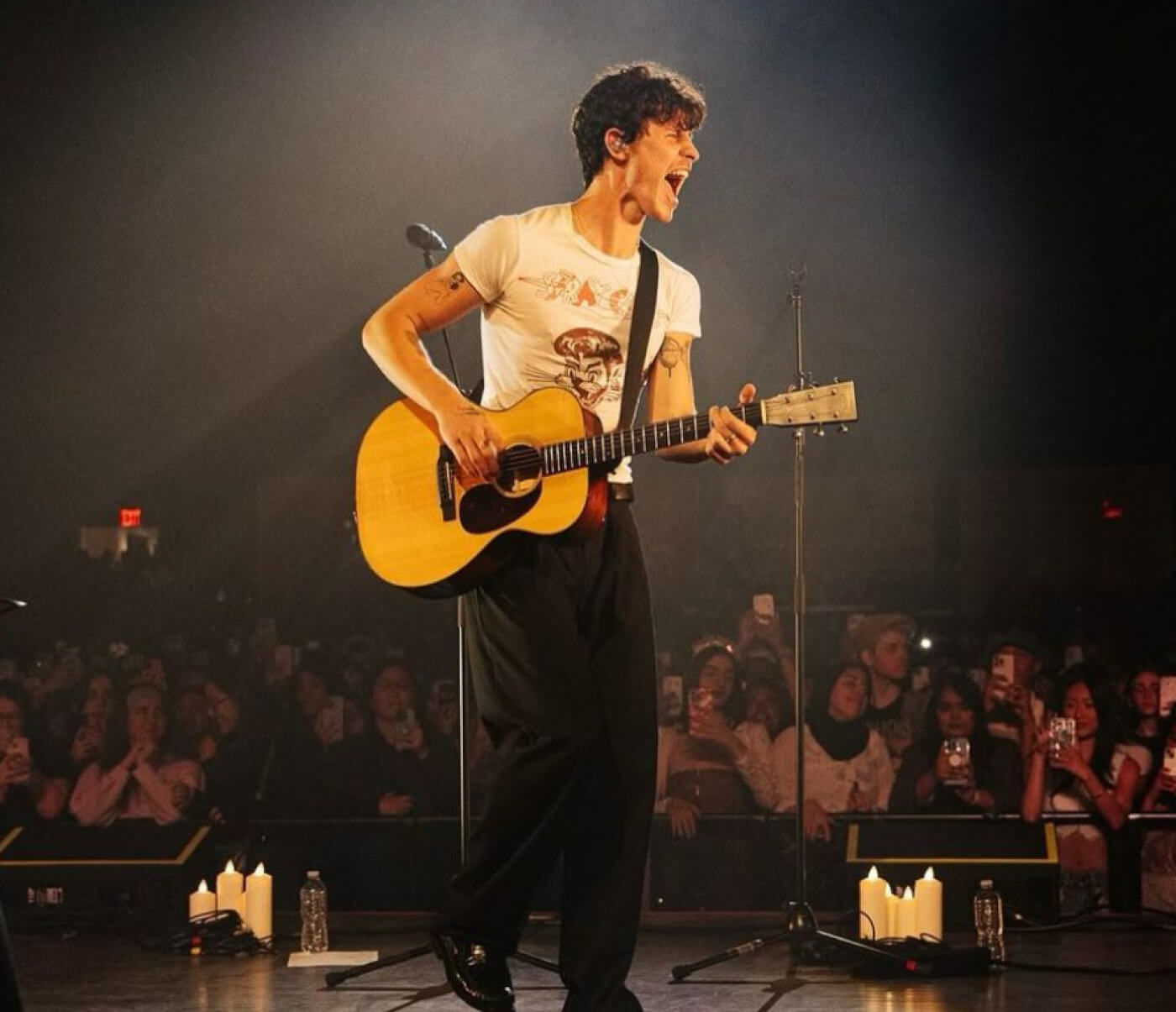 shawn mendes live
