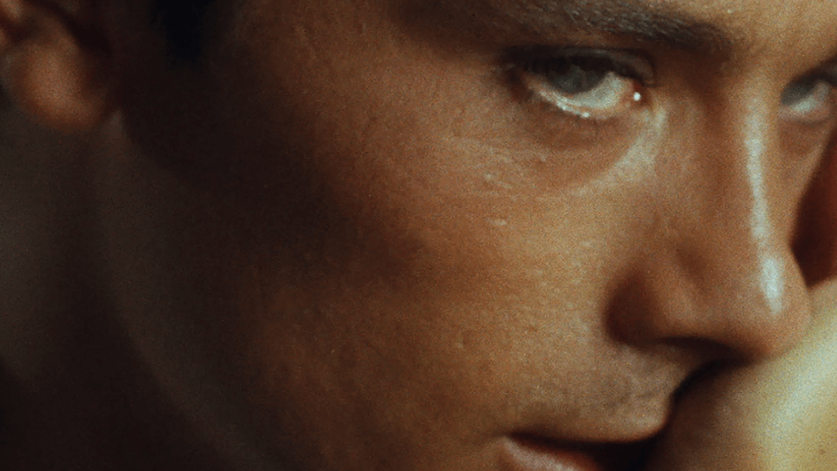 Alain Delon era bisessuale e usava i suoi amici gay, la nuova biografia