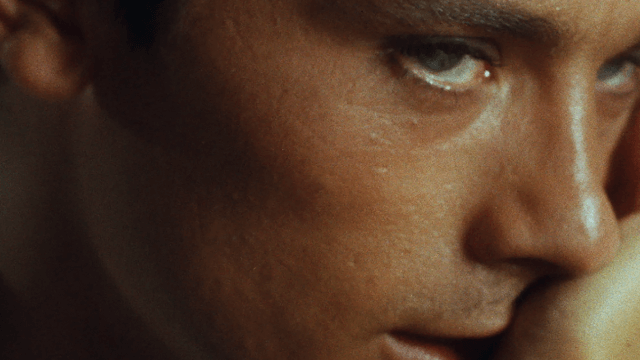Alain Delon bisessuale Les Derniers Mystères Delon (Gli ultimi misteri di Delon), Bernard Violet - foto tratta da "Delitto in pieno sole" dal sito Film Forum