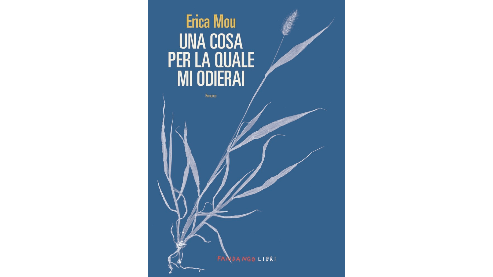 Erica Mou, il suo romanzo uscito nel 2024