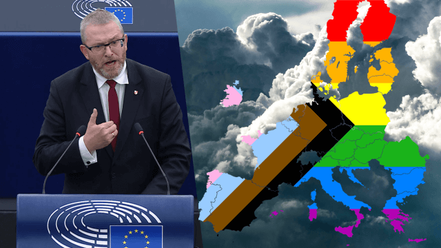 Com'è andato il dibattito sulle questione LGBTIQ+ al Parlamento Europeo il 27 Novembre 2024? ll nostro report