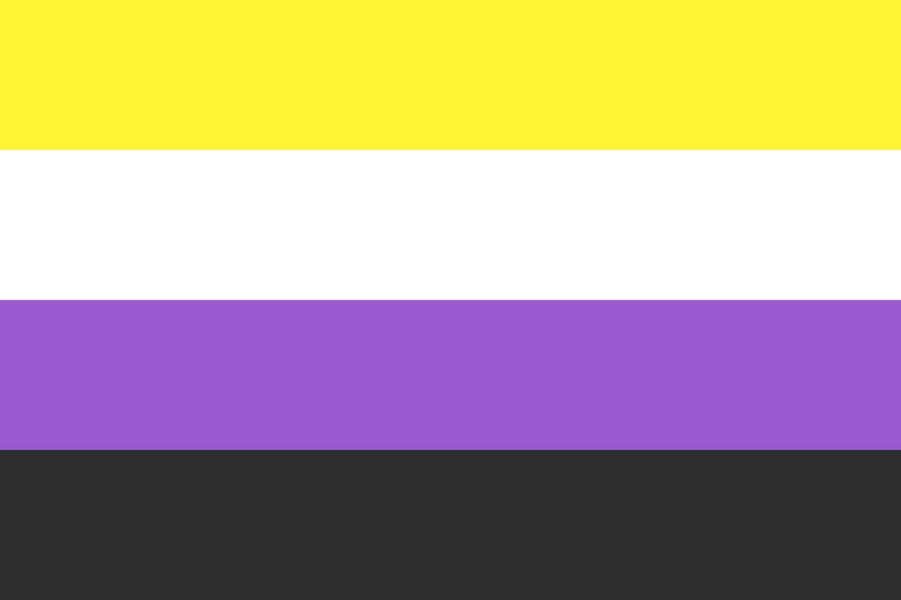 Non-Binary Pride, il 18 ottobre 2025 a Roma la prima edizione italiana per celebrare l’Euforia non binaria - nonbinary nonmed - Gay.it