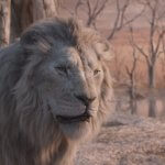 MUFASA: THE LION KING - Thumbnail