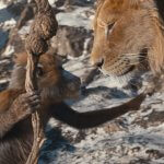 MUFASA: THE LION KING - Thumbnail