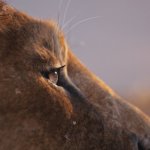 MUFASA: THE LION KING - Thumbnail