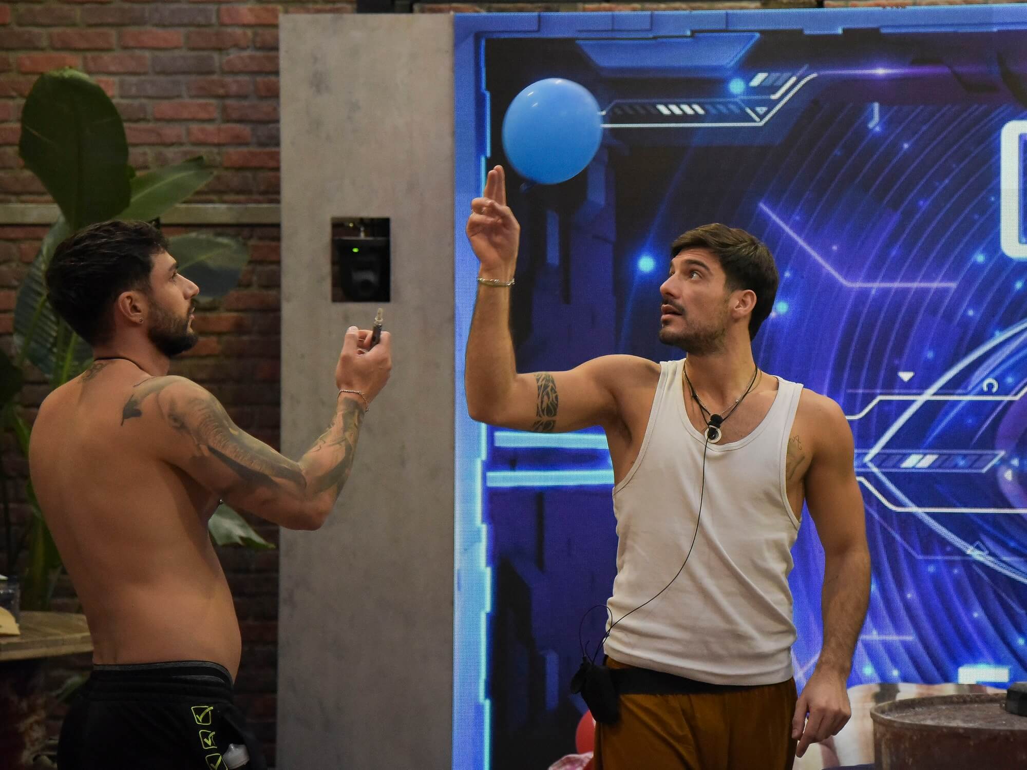 Lorenzo Spolverato e Stefano Tediosi, Grande Fratello 2024