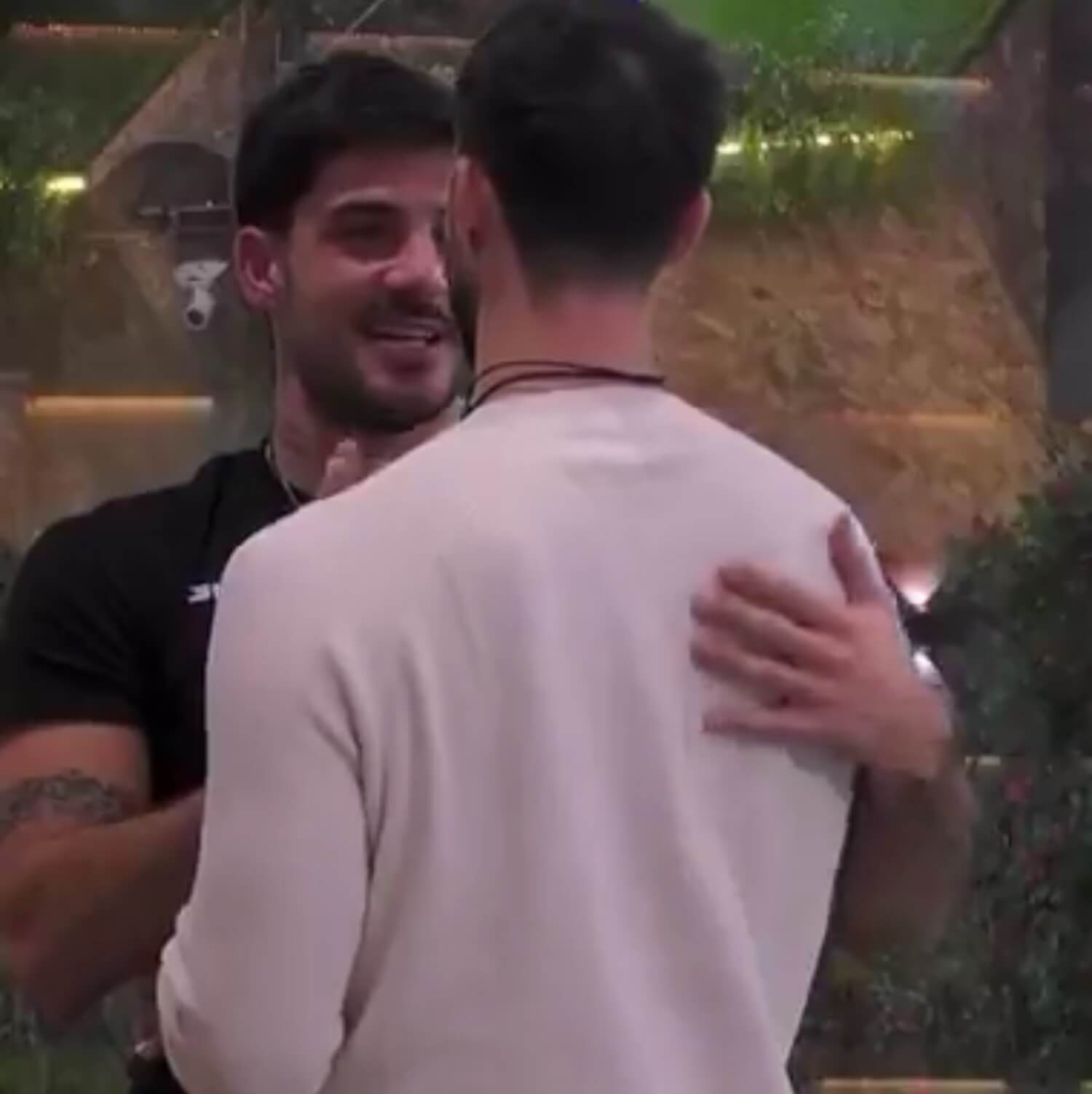 Lorenzo Spolverato e Stefano Tediosi, Grande Fratello 2024