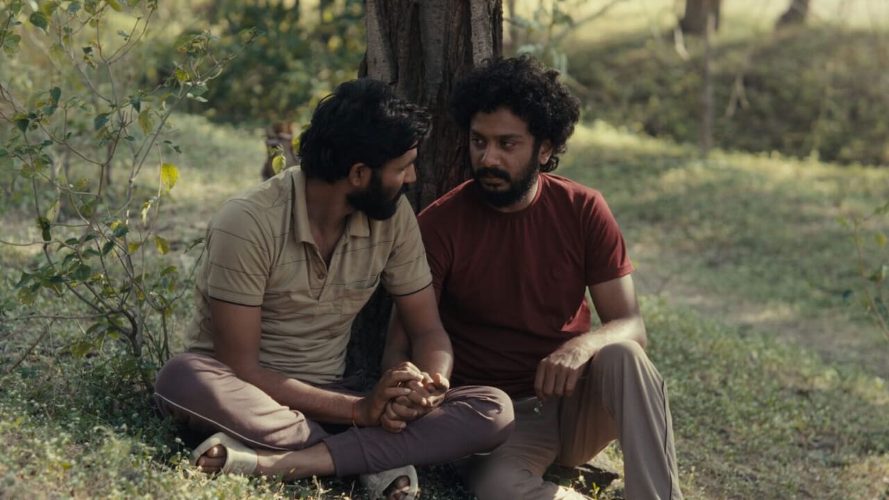 Sundance 2025, tutti i film LGBTQIA+ in cartellone. C'è anche Amanda Lear con un doc sull'identità trans - Sabar Bonda Cactus Pears Still1 1536x864 1 - Gay.it