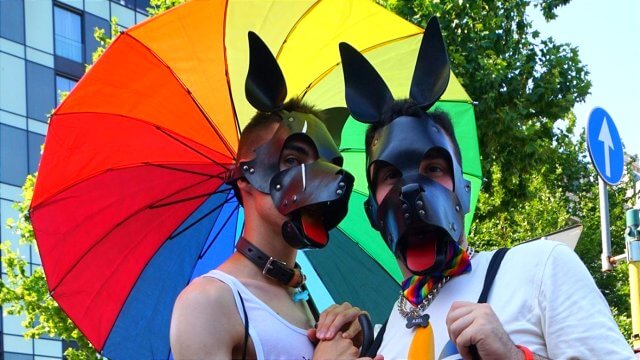 puppy play, cosa è, significato del gioco di ruolo kinky