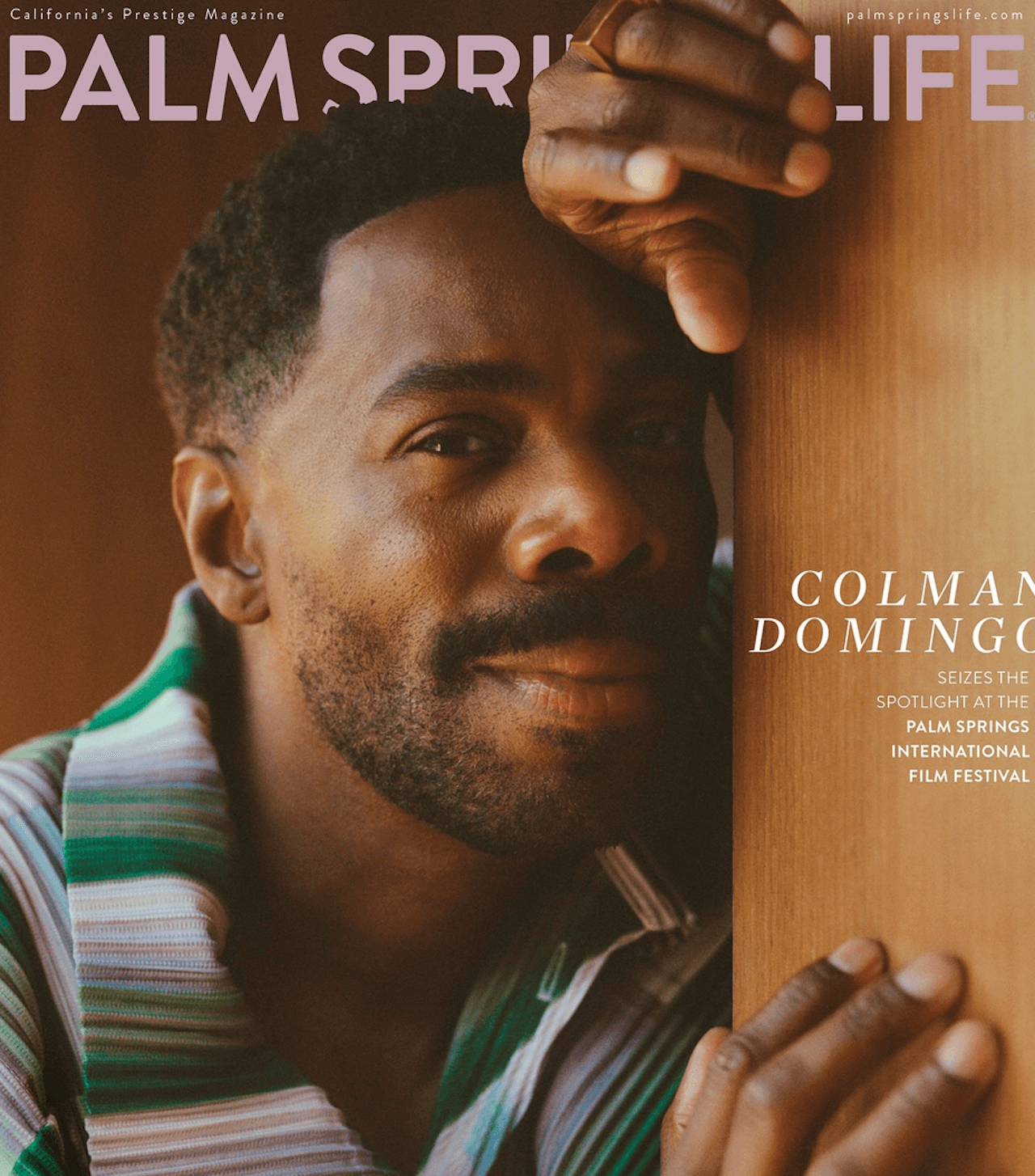 Colman Domingo: "Mi propongono ruoli etero. Nessuno mi guarda e dice: "È gay, non può farlo". Sono un attore" - Colman Domingo - Gay.it