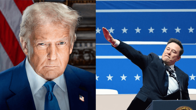 Donald Trump Elon Musk