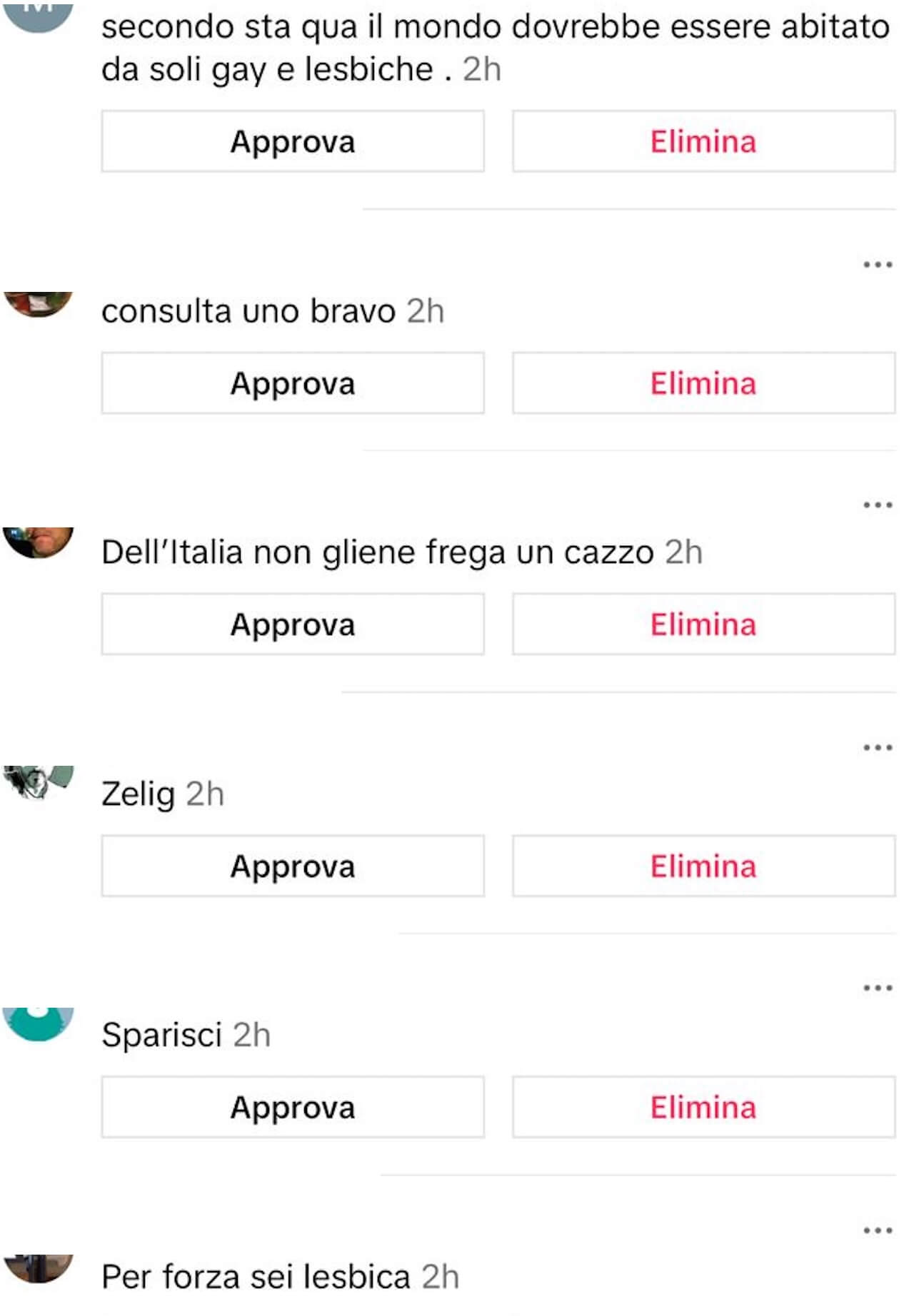 Elly Schlein, pioggia di insulti omofobi su TikTok: "Pagliaccia, fai schifo, speriamo vi spazzino via tutti" (VIDEO) - Elly Schlein pioggia di insulti omofobi al video dai Rainbow Awards 10 - Gay.it