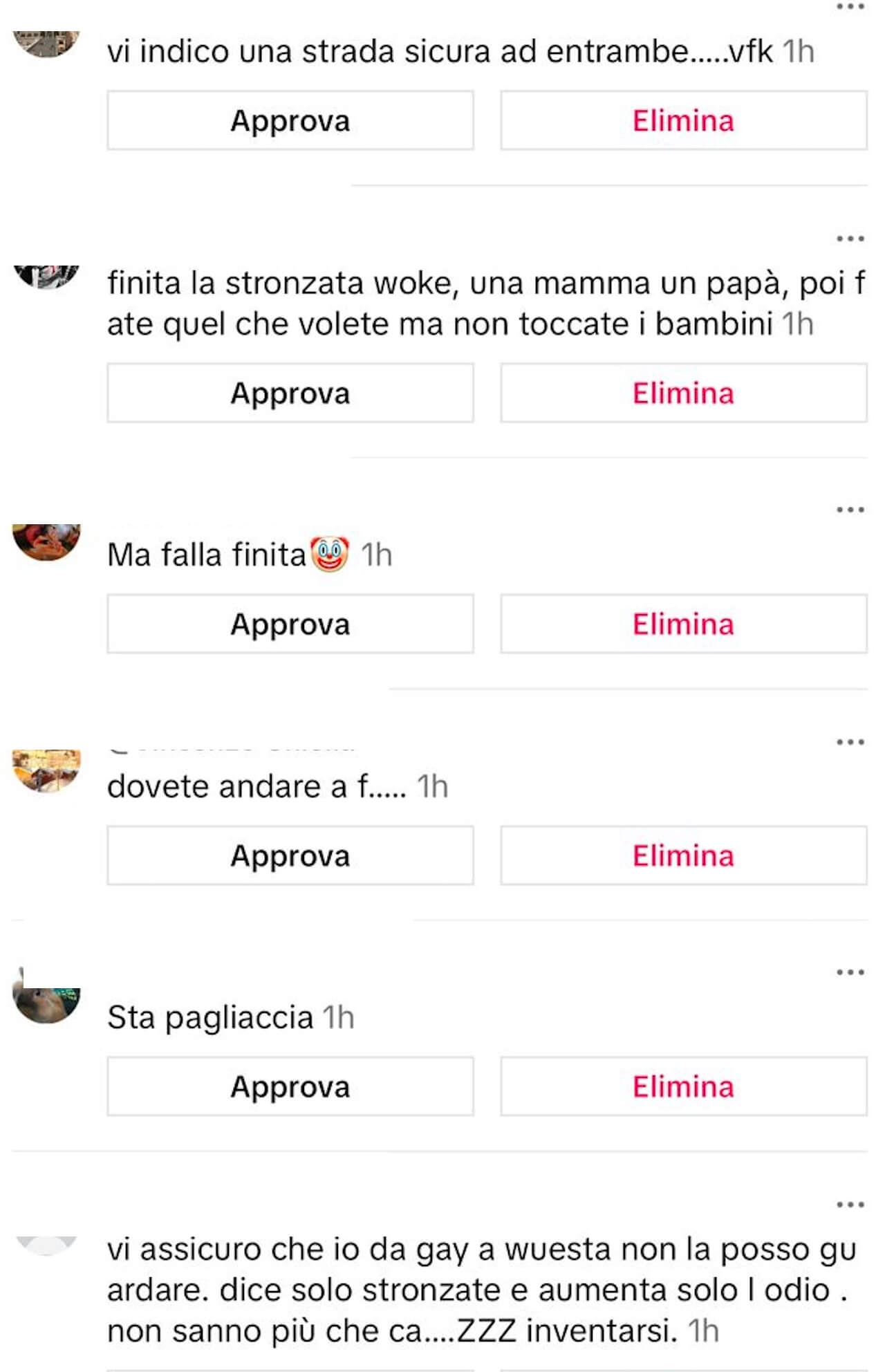 Elly Schlein, pioggia di insulti omofobi su TikTok: "Pagliaccia, fai schifo, speriamo vi spazzino via tutti" (VIDEO) - Elly Schlein pioggia di insulti omofobi al video dai Rainbow Awards 12 - Gay.it