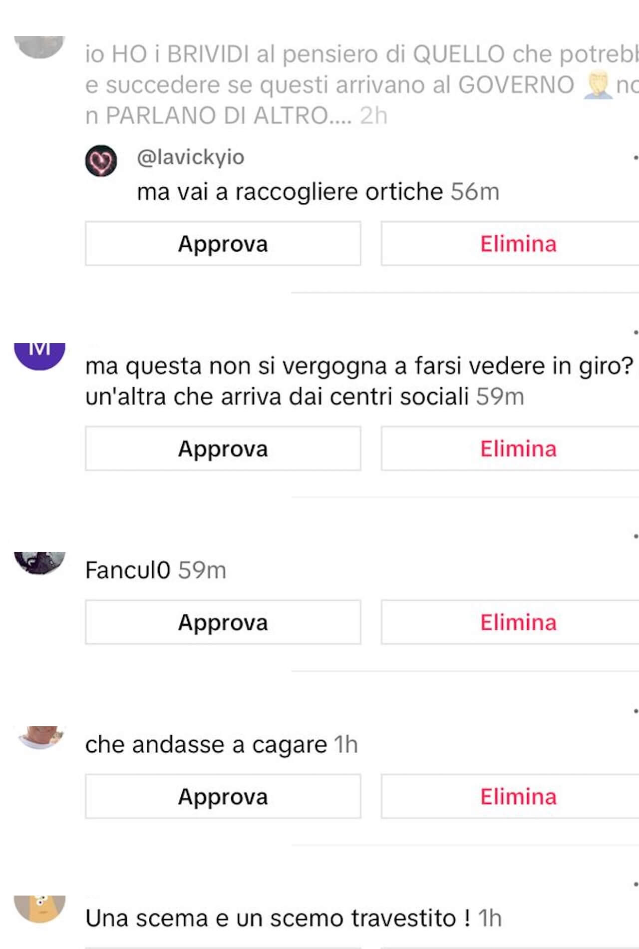 Elly Schlein, pioggia di insulti omofobi su TikTok: "Pagliaccia, fai schifo, speriamo vi spazzino via tutti" (VIDEO) - Elly Schlein pioggia di insulti omofobi al video dai Rainbow Awards 13 - Gay.it