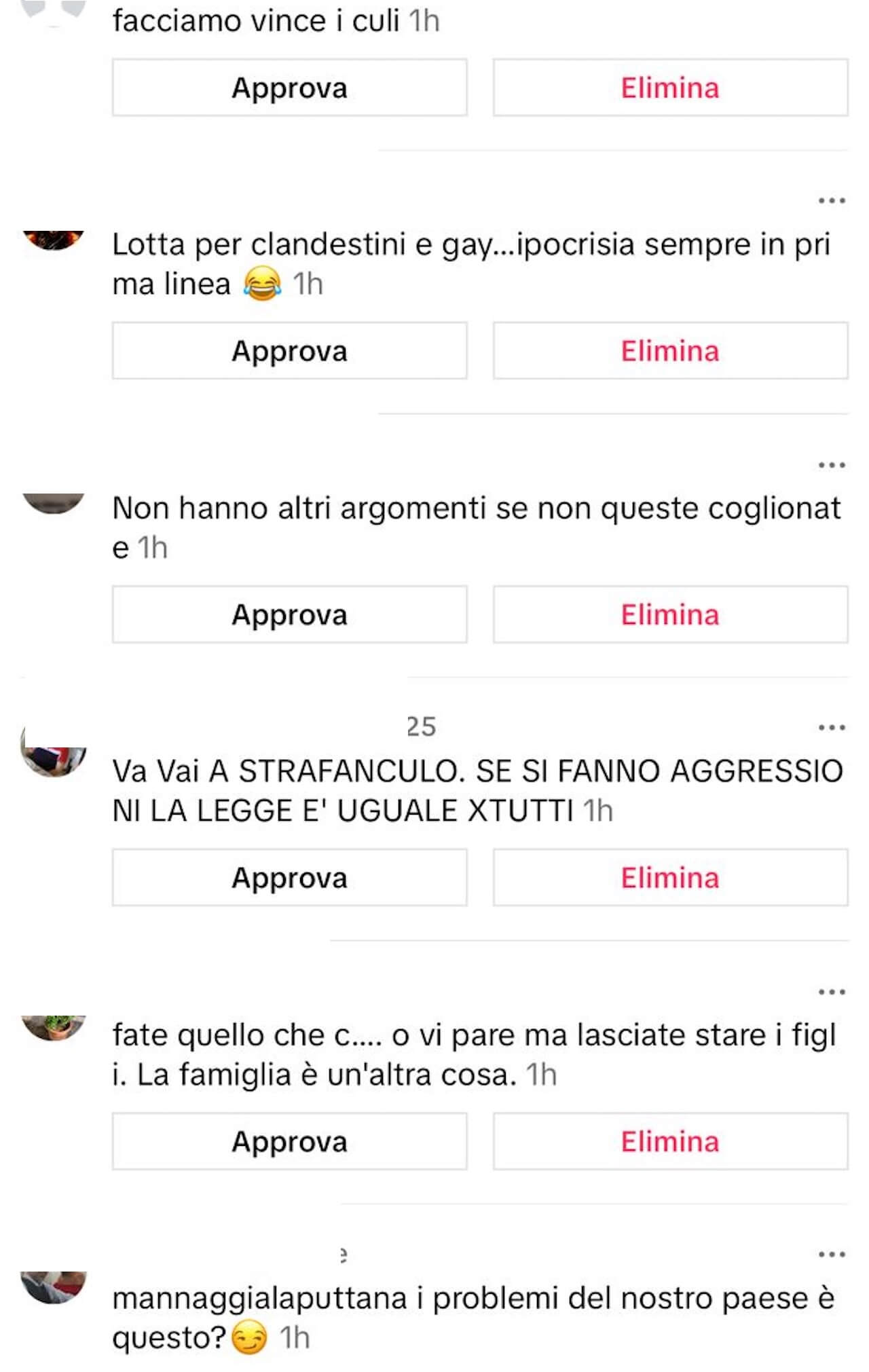 Elly Schlein, pioggia di insulti omofobi su TikTok: "Pagliaccia, fai schifo, speriamo vi spazzino via tutti" (VIDEO) - Elly Schlein pioggia di insulti omofobi al video dai Rainbow Awards 2 - Gay.it