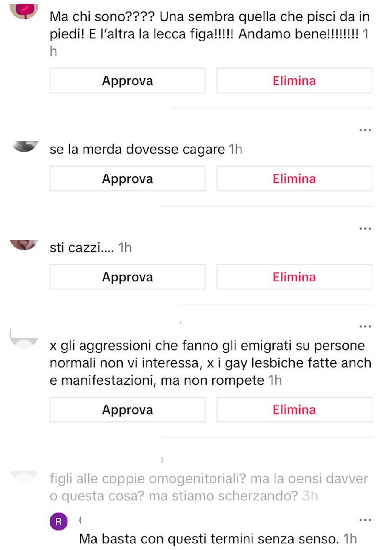 Elly Schlein, pioggia di insulti omofobi su TikTok: "Pagliaccia, fai schifo, speriamo vi spazzino via tutti" (VIDEO) - PHOTO 2025 01 21 10 32 15 4 - Gay.it