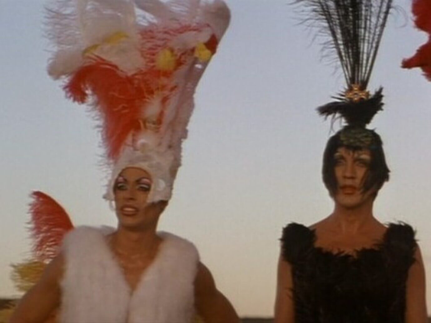 Pillole di cultura drag per principianti: chi sono le drag queen, come e quando è nata questa parola - Priscilla la regina del deserto 1 - Gay.it