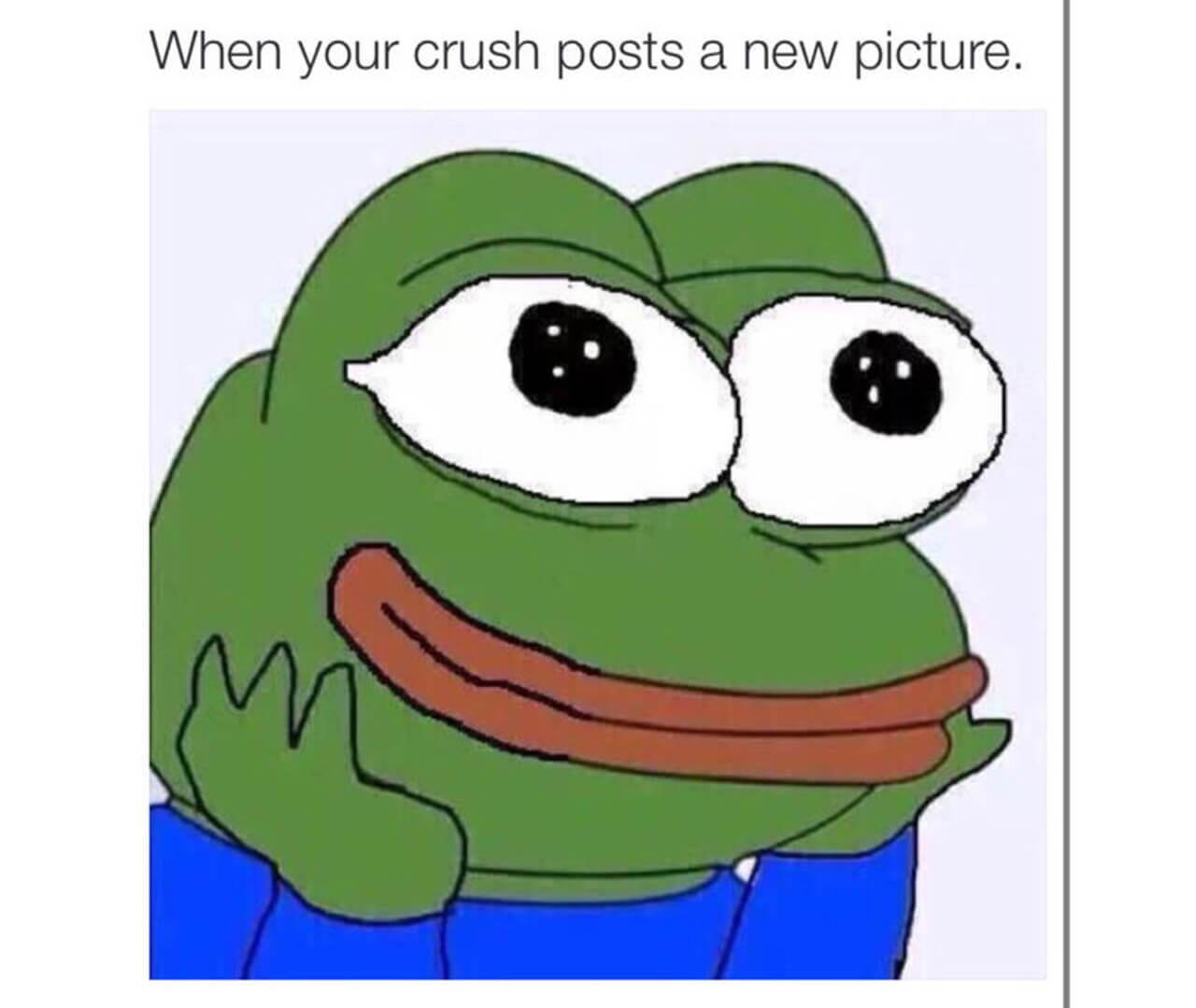cozy e wholesome trend e videogiochi: i meme wholesome