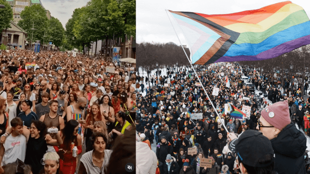 Germania elezioni sondaggi Winter Pride