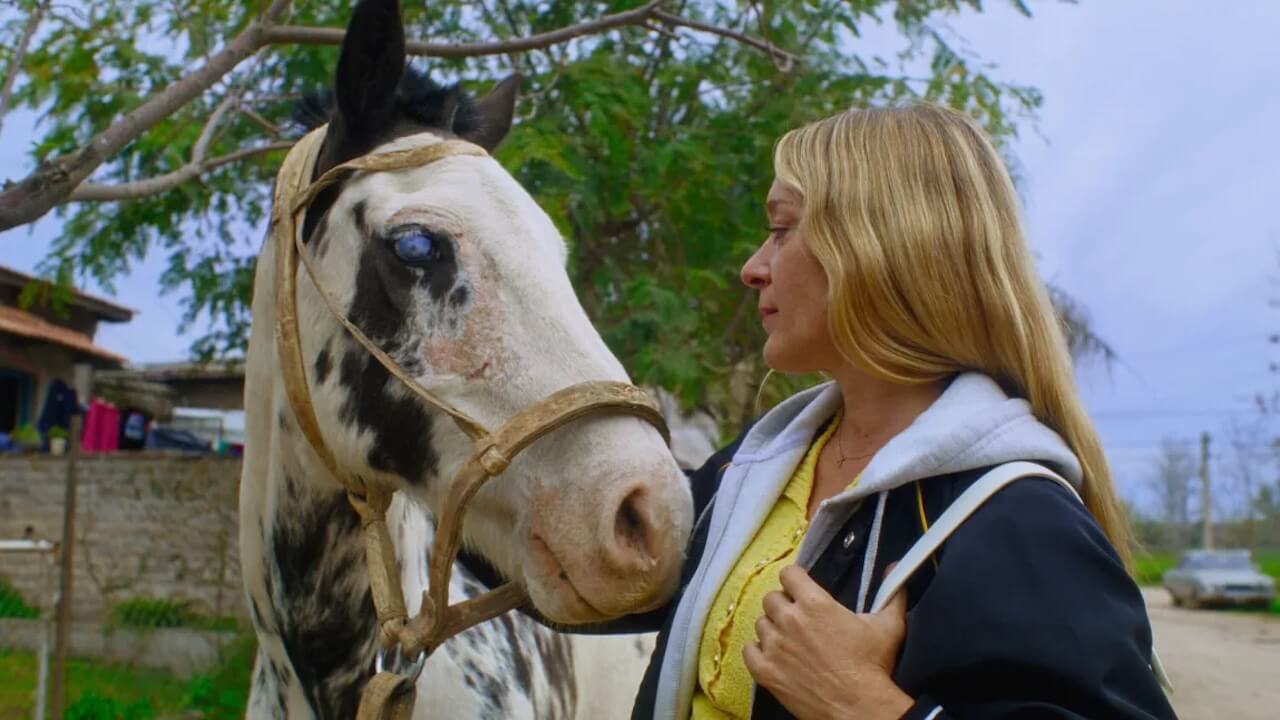 Berlino 2025, tutti i film a tematica queer in corsa per il Teddy Award - Magic Farm 1 - Gay.it