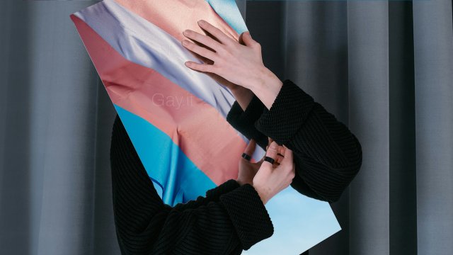 Transgender Lavoro Gay.it