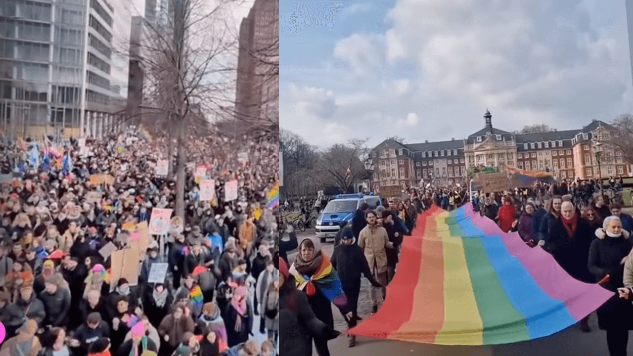 Winter Pride Germanis elezioni sondaggi